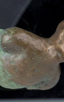 The Bodysurfer by Lois Basham