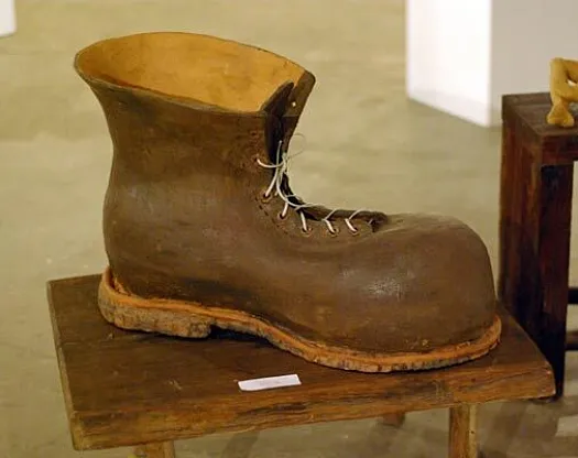The Boot by Meredith Plain