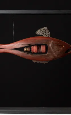 The Catch by Gavin Roberts