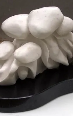 The Cluster No. 2 by Betty Collier