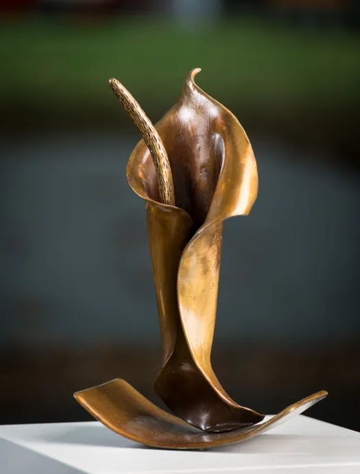 The Dancing Lily by Jackie Mackinnon