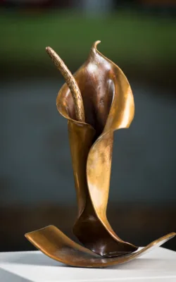 The Dancing Lily by Jackie Mackinnon