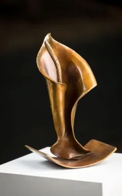 The Dancing Lily by Jackie Mackinnon