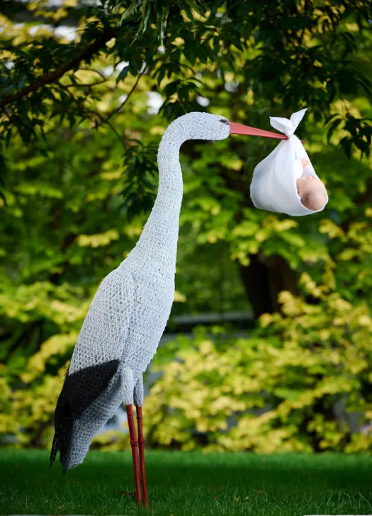 The Delivery by Vicki Combridge