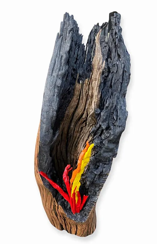 The Flame Eternal by Chris Anderson