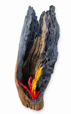 The Flame Eternal by Chris Anderson