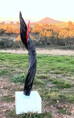 The Fragility of Life by Chris Anderson