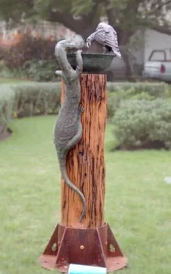 The Goanna and the Currawong by Martin Moore