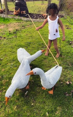 The Goose Girl by Vicki Combridge