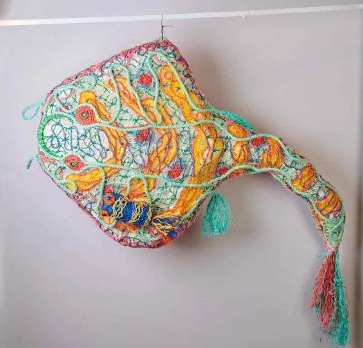 The Hitch Hiker: The Hidden Crisis Beneath Our Waves by Jo Jo Spook