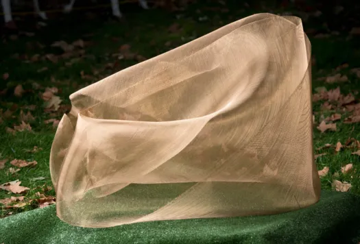 The Lightness of the Imagination - B by Jackie Mackinnon