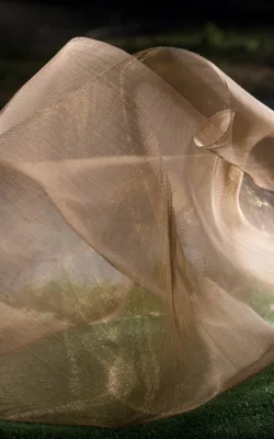 The Lightness of the Imagination - B by Jackie Mackinnon