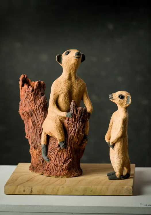 The Lookout by Aleida Wright