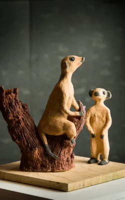 The Lookout by Aleida Wright