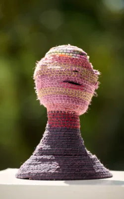 The Muse by Fleur Brett