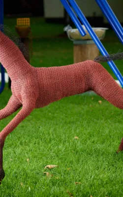 The Newborn by Vicki Combridge