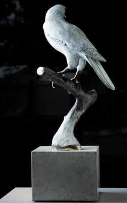 "The One and Only" White Goshawk by Jake Mikoda