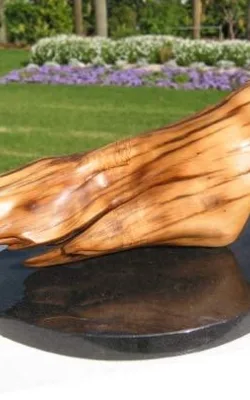 The Phoenix Will Rise by Betty Collier