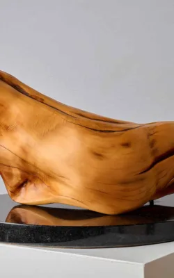 The Phoenix by Betty Collier