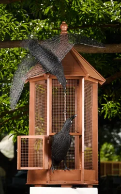 The Reasoning of Ravens by Vicki Combridge