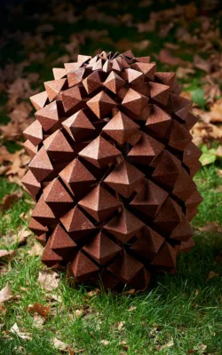 The Sheoak Seed by Matt Hill