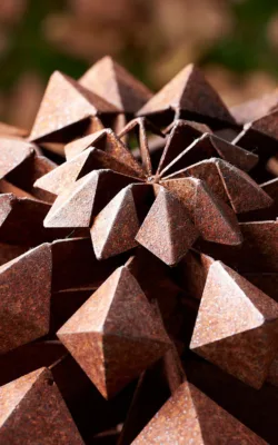 The Sheoak Seed by Matt Hill