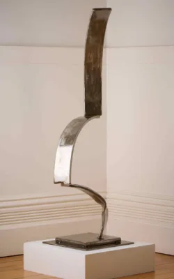 The Struggle by Peter King