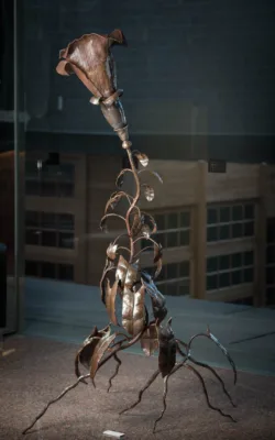 The Triffid by Paul Cacioli