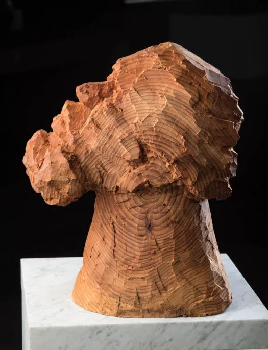 Thinking Man 2 by Anthony Kim