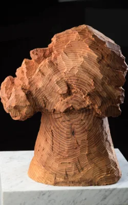 Thinking Man 2 by Anthony Kim