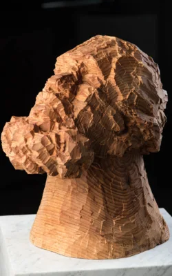 Thinking Man 2 by Anthony Kim