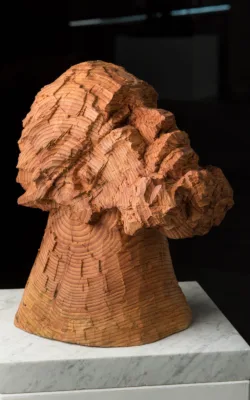 Thinking Man 2 by Anthony Kim