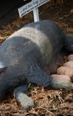 This Little Piggy by Vicki Combridge