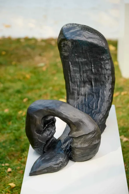 Tidal Wave and Rock by Rachel Steinman