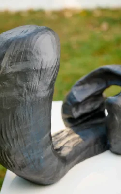 Tidal Wave and Rock by Rachel Steinman