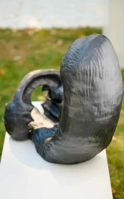 Tidal Wave and Rock by Rachel Steinman