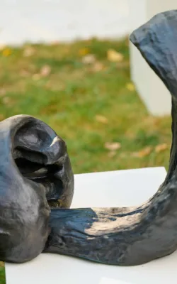 Tidal Wave and Rock by Rachel Steinman