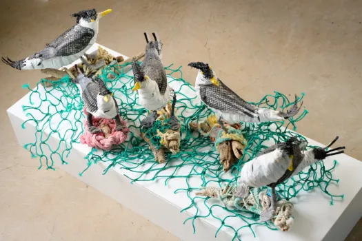 To Laugh by Jo Jo Spook