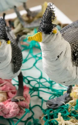 To Laugh by Jo Jo Spook