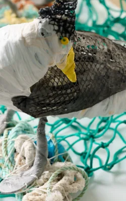 To Laugh by Jo Jo Spook