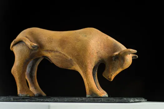 Toro by Veronique Derville