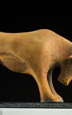 Toro by Veronique Derville