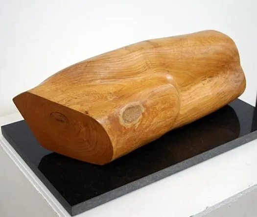 Torso by Fay Gerber