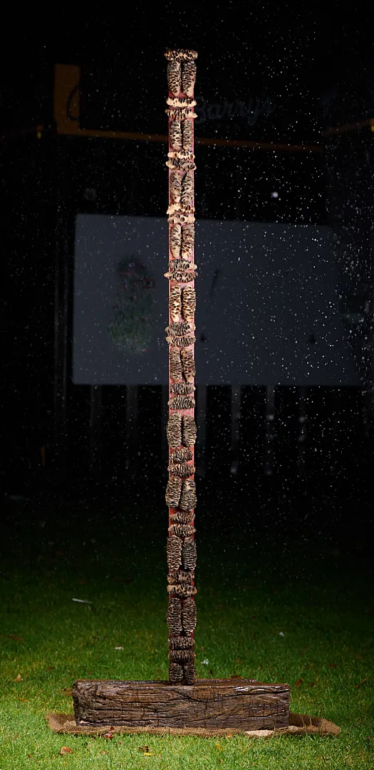 Totem 1 by Jackie Mackinnon
