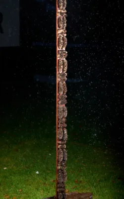 Totem 1 by Jackie Mackinnon