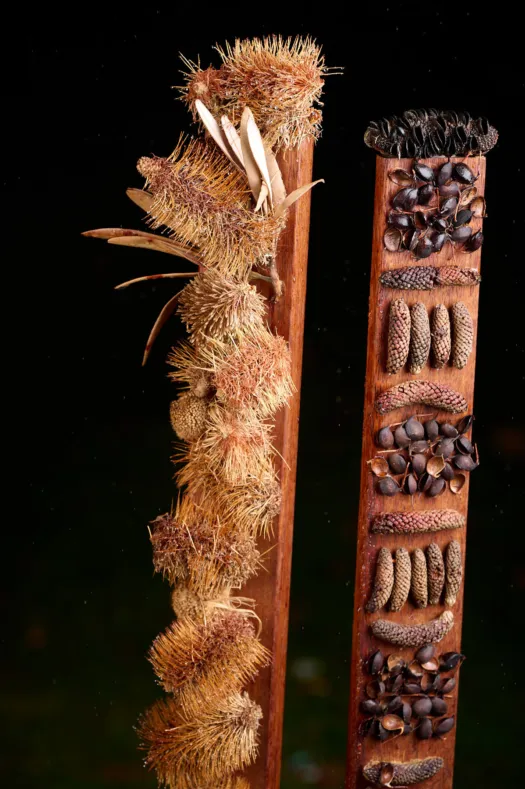 Totem 3 (x3) by Jackie Mackinnon