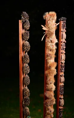 Totem 3 (x3) by Jackie Mackinnon
