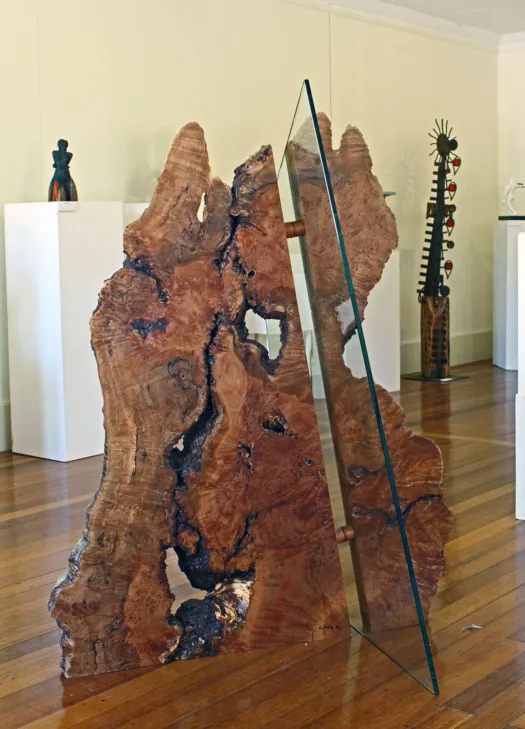 Crossed Section by Peter Toyne