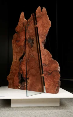 Crossed Section by Peter Toyne