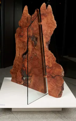 Crossed Section by Peter Toyne